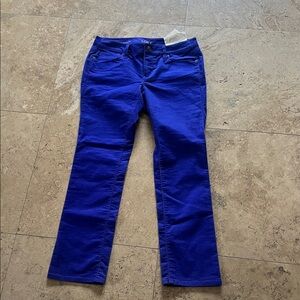 LOFT Cobalt Blue Straight Leg Jeans 6p
